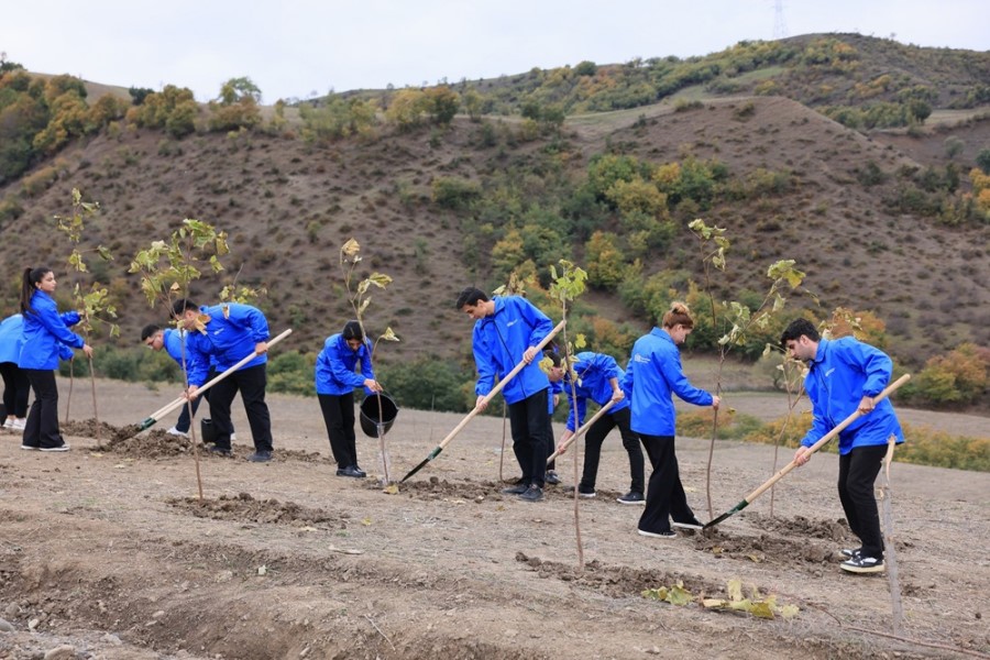 Tree Planting campaigns continue